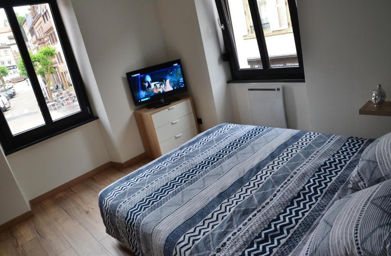 Le Cyclade, Appartement De Standing En Hyper-Centre. Sarreguemines Eksteriør bilde